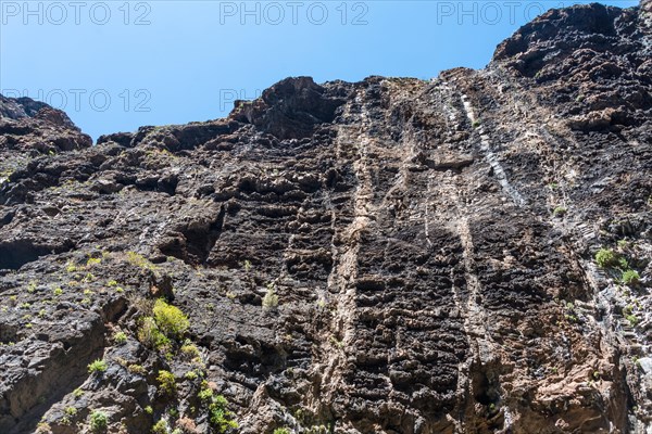 Cliff in the Masca Gorge