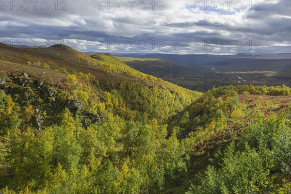 Vindelfjallen in autumn