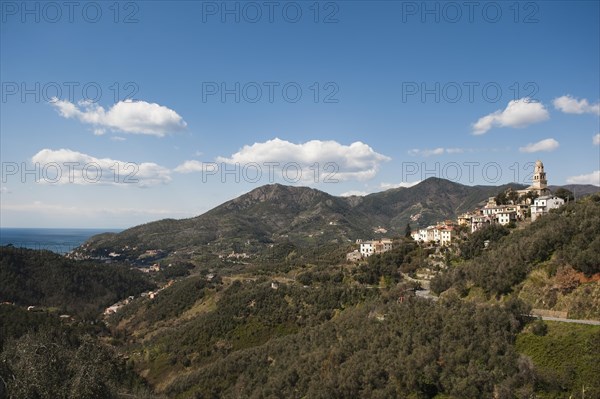 View of Legnaro