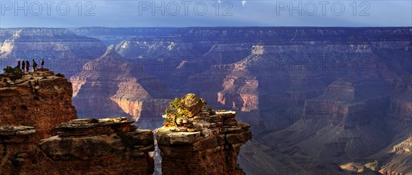 View of the Grand Canyon in the evening light