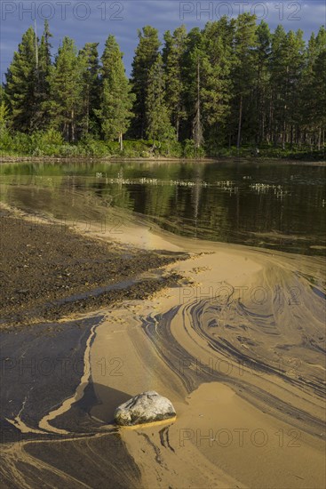 Pollen form patterns in the Saggat Lake near the island of Arrenjarka