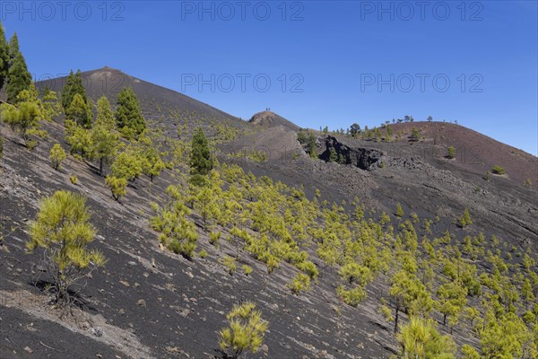 Volcano San Martin