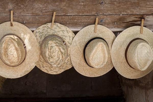 Straw hats for sale