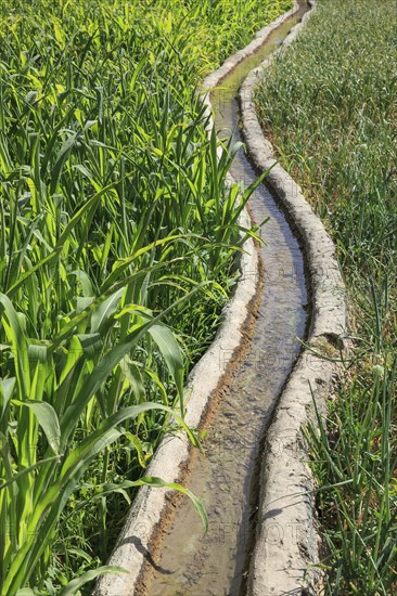 Clear water flowing in a traditional irrigation canal through a green field