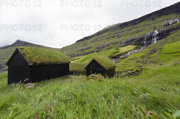 Houses with grass roofs