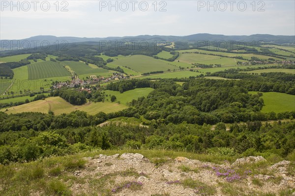 View from Mt Grosser Horselberg towards the Thuringian Forest