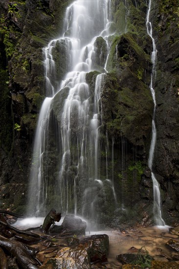 Waterfall in the forest