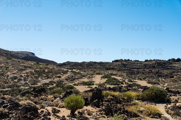 Volcanic landscape