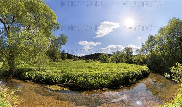 Loop of the Morsbach stream