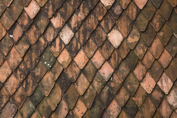 Terracotta roof tiles