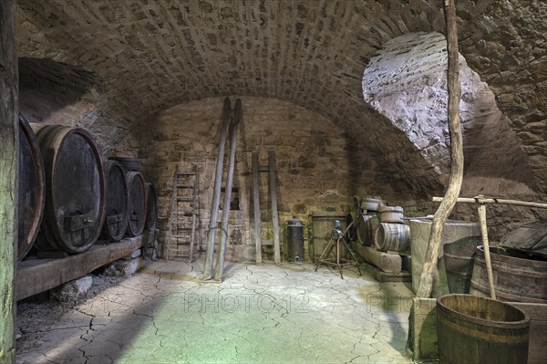 Wine room with wine barrels from the 19th century