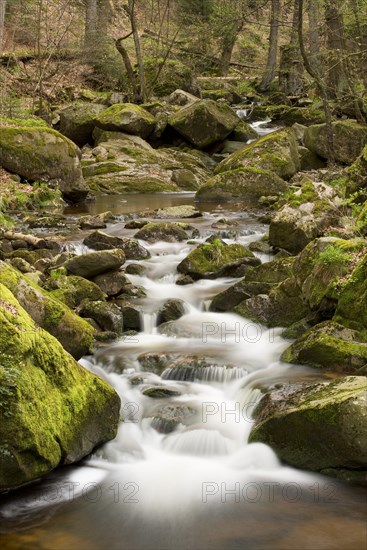 Mountain river Ilse in spring