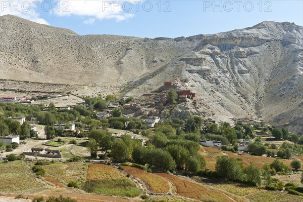 The village of Geling with the Tashi Choling Gompa