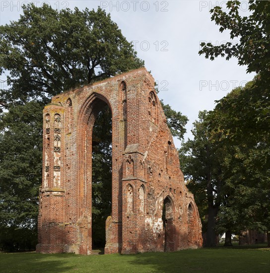Ruins of the Eldena Monastery