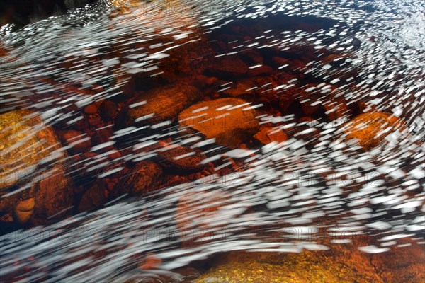 Typical foam structures on the black river water