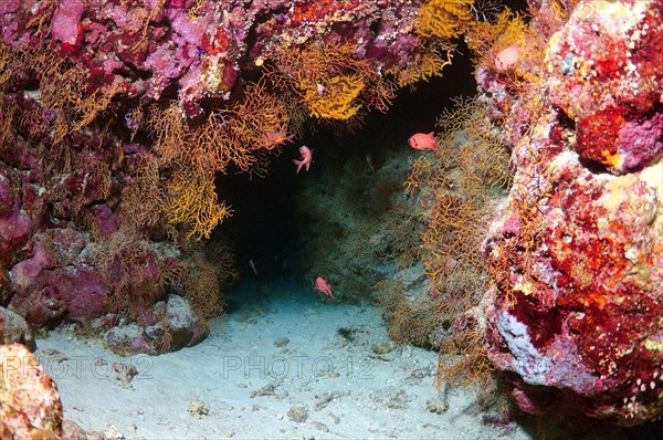 Underwater cave