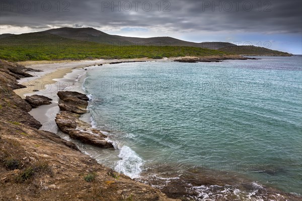 Beach along the Customs Officers' Trail