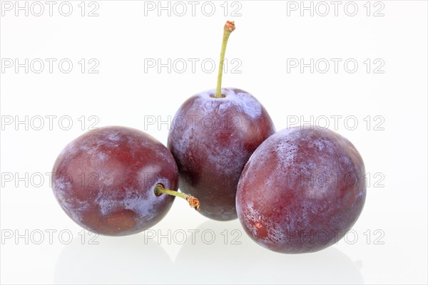 Plums