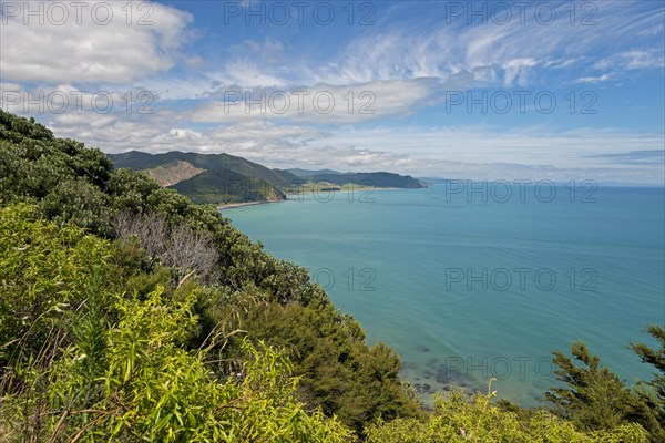 Coastal landscape at East Cape