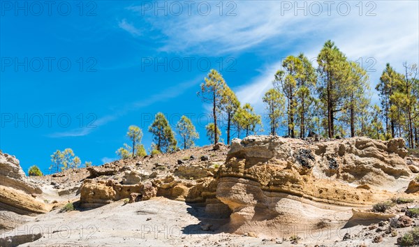 Paisaje Lunar