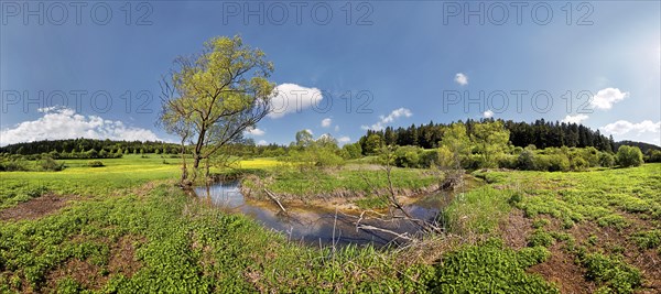 Loop of the Morsbach stream