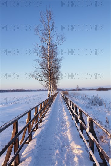 Boardwalk