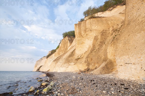 Baltic Sea and chalk cliffs in the morning light