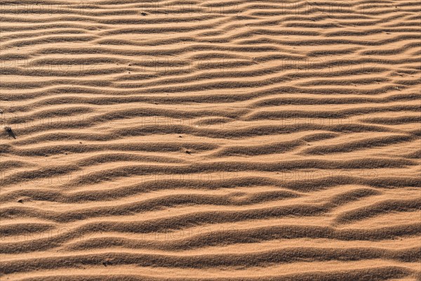 Wave pattern in the sand