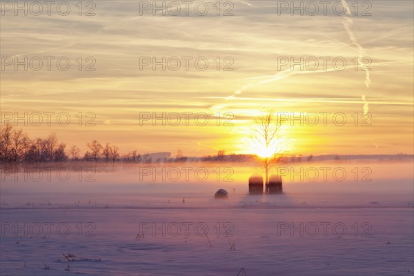 Winter landscape