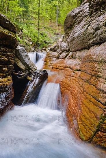 Waterfall in the Taugl river