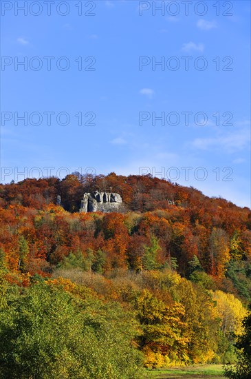 Autumn coloured trees on Mt Glatzenstein