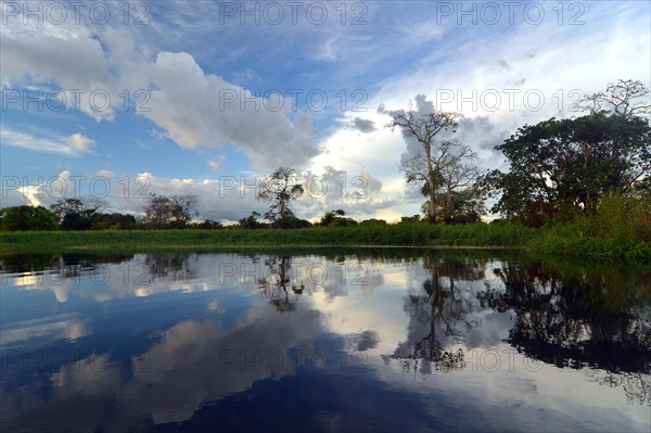 Dusk at a lake-like widened part of the Amazon or Rio Solimoes