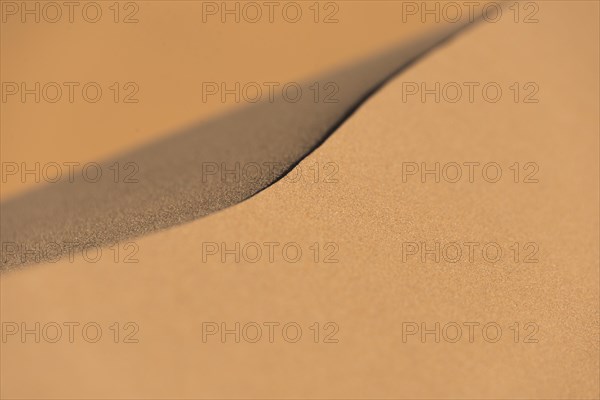 Ridge of a dune
