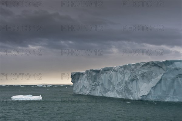 Brasvellbreen