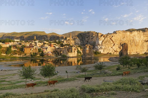 Townscape with the Tigris River