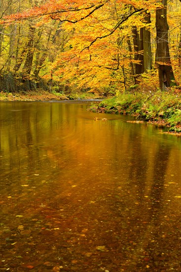 Schwarza River in the autumn