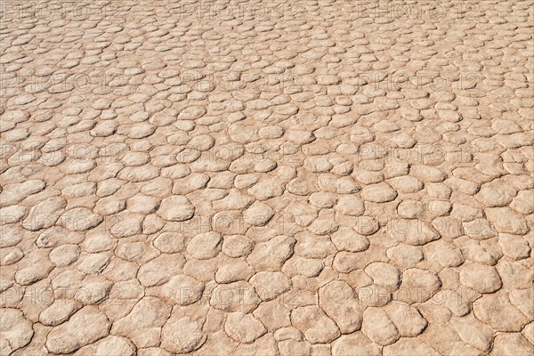 Dried sandy ground