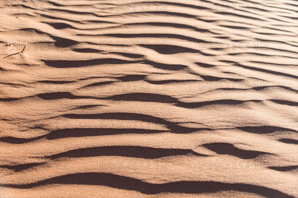 Wave pattern in the sand