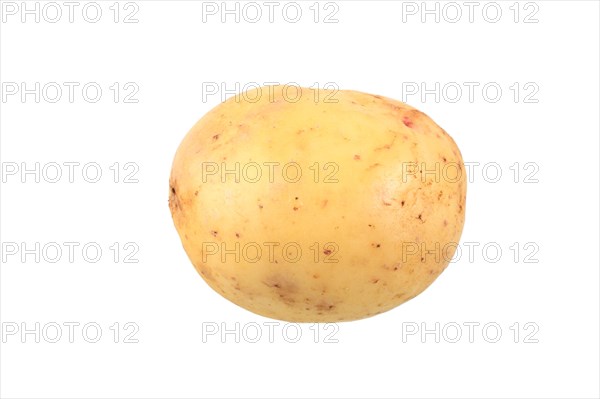 Potato