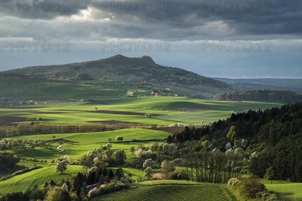 Evening mood in the volcanic landscape Hegau with Mt Hohenstoffeln