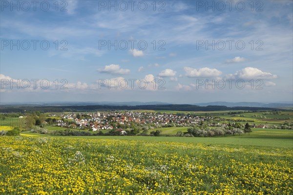 Village of Emmingen-Liptingen in the Hegaualb landscape