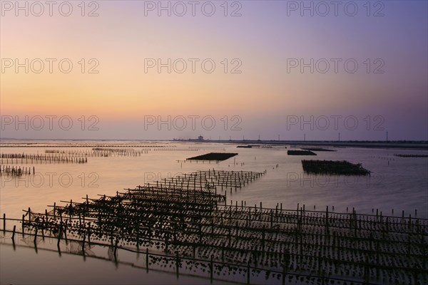 Fish farm at sunset