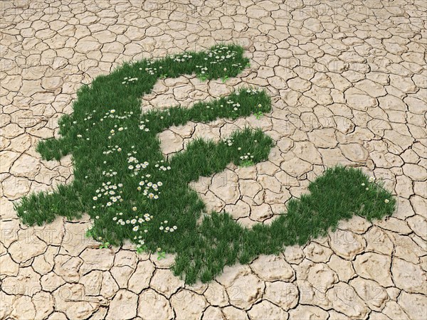 Grass growing in the form of a euro symbol on parched soil