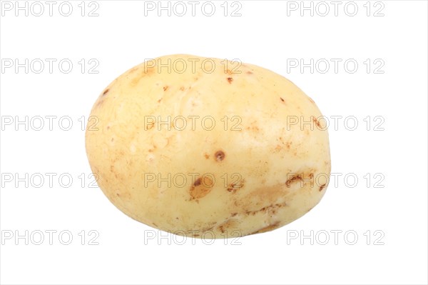 Potato