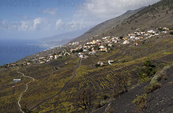 The village of Los Quemados built on lava soil