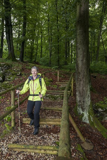 Hiker in a forest