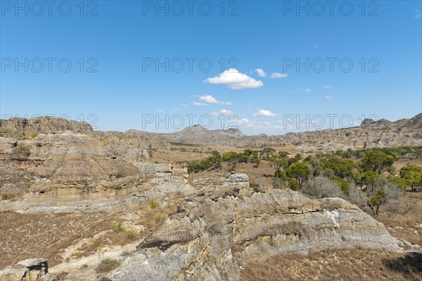 Dry and wide erosional landscape with rocks and trees