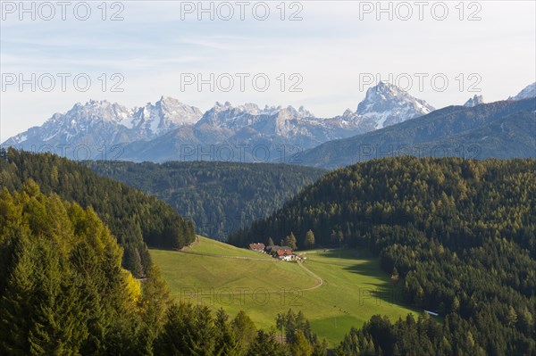 Small alpine pasture in a wooded landscape