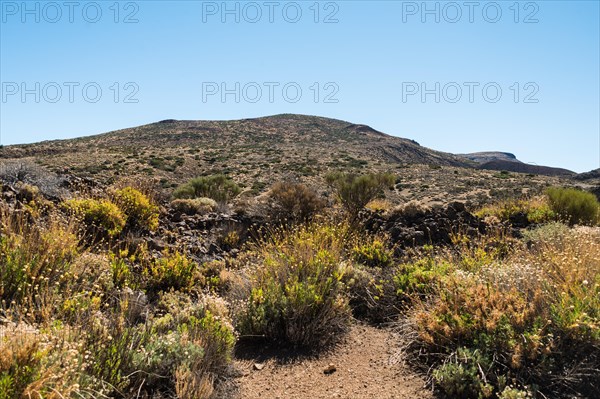 Volcanic landscape