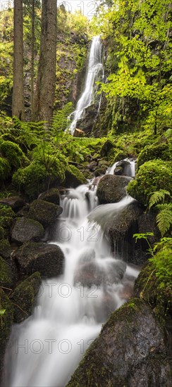 Waterfall in the forest